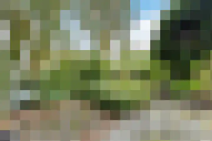 Hobbemaplantsoen 27 Heerhugowaard thumbnail 40
