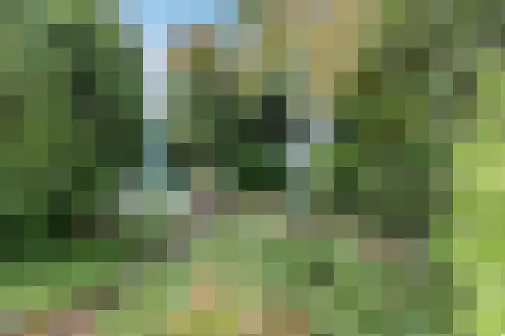Hobbemaplantsoen 27 Heerhugowaard thumbnail 44