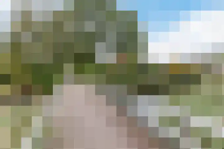 Hobbemaplantsoen 27 Heerhugowaard thumbnail 47