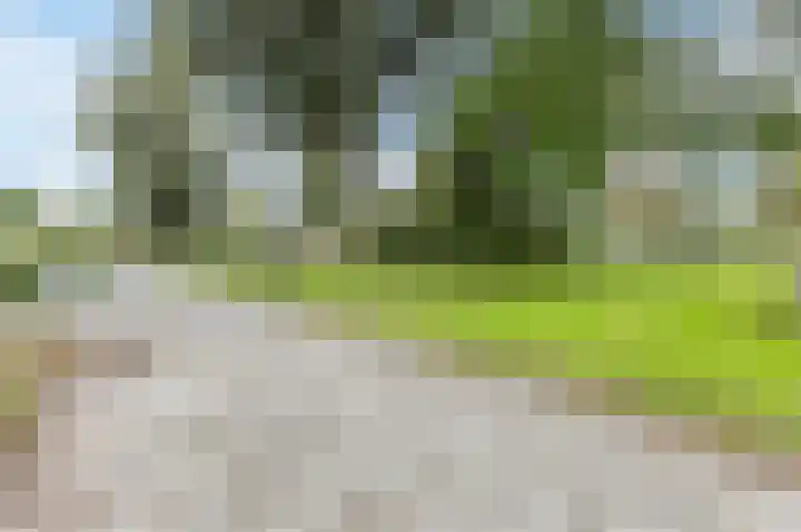 Hobbemaplantsoen 27 Heerhugowaard thumbnail 48