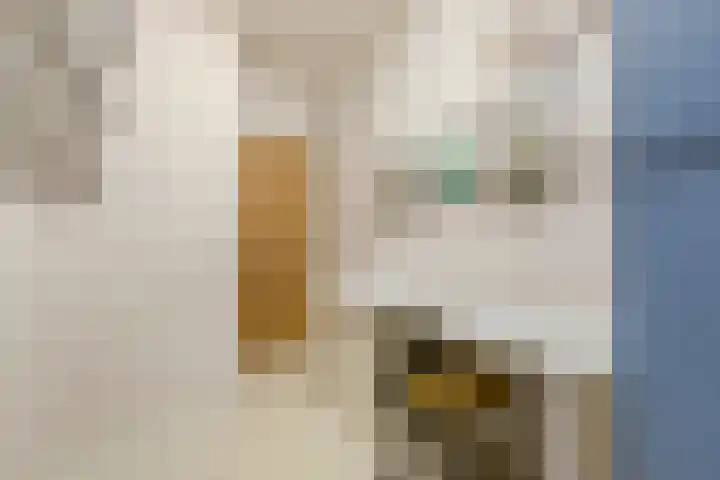 Hobbemaplantsoen 43 Heerhugowaard thumbnail 26