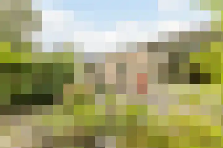 Hobbemaplantsoen 43 Heerhugowaard thumbnail 31