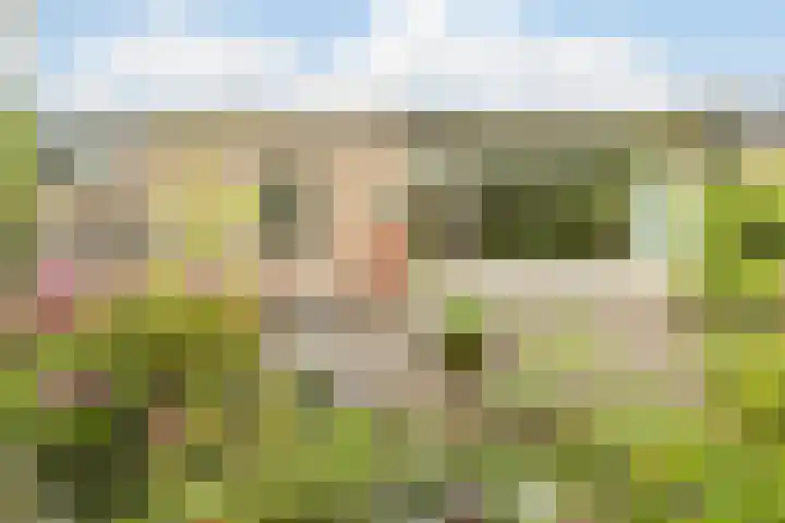Hobbemaplantsoen 43 Heerhugowaard thumbnail 32