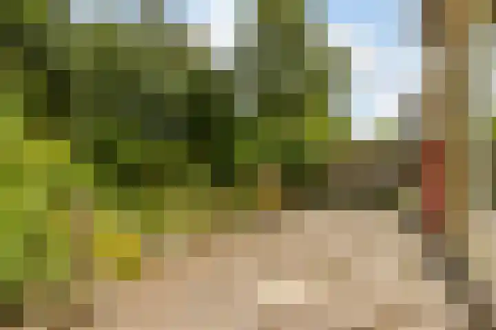 Hobbemaplantsoen 43 Heerhugowaard thumbnail 35