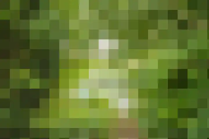 Hobbemaplantsoen 43 Heerhugowaard thumbnail 36