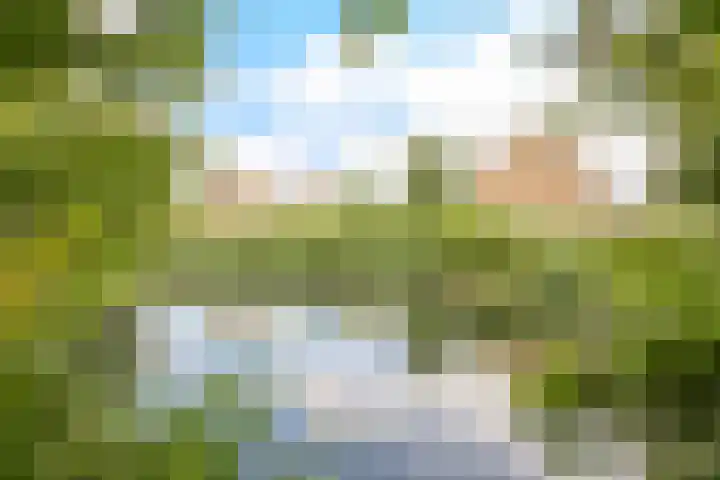 Hobbemaplantsoen 43 Heerhugowaard thumbnail 37