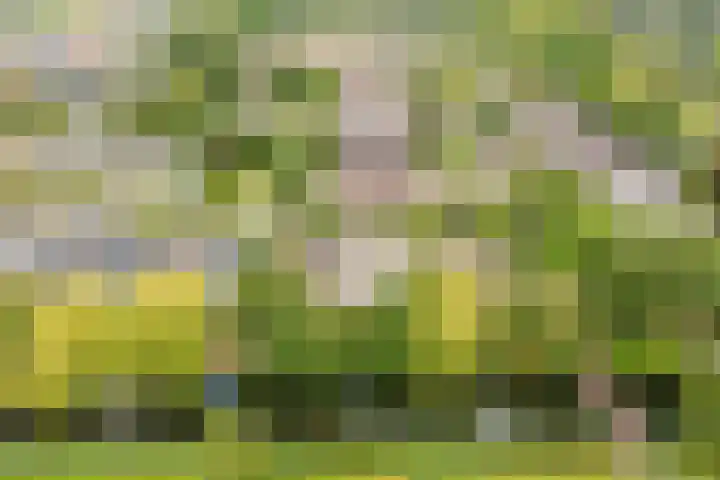 Hobbemaplantsoen 43 Heerhugowaard thumbnail 38