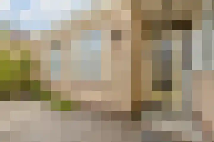 Hobbemaplantsoen 43 Heerhugowaard thumbnail 39