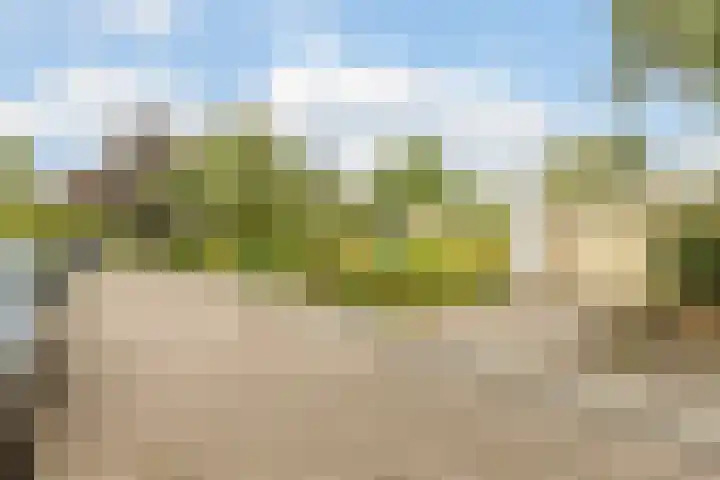 Hobbemaplantsoen 43 Heerhugowaard thumbnail 41