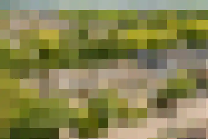 Hobbemaplantsoen 43 Heerhugowaard thumbnail 42