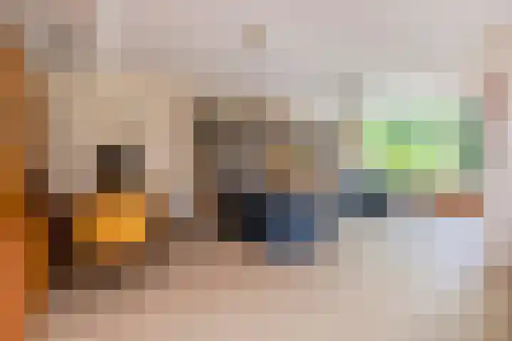 Hobbemaplantsoen 43 Heerhugowaard thumbnail 5
