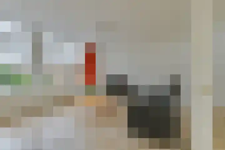 Hobbemaplantsoen 6 Heerhugowaard thumbnail 13