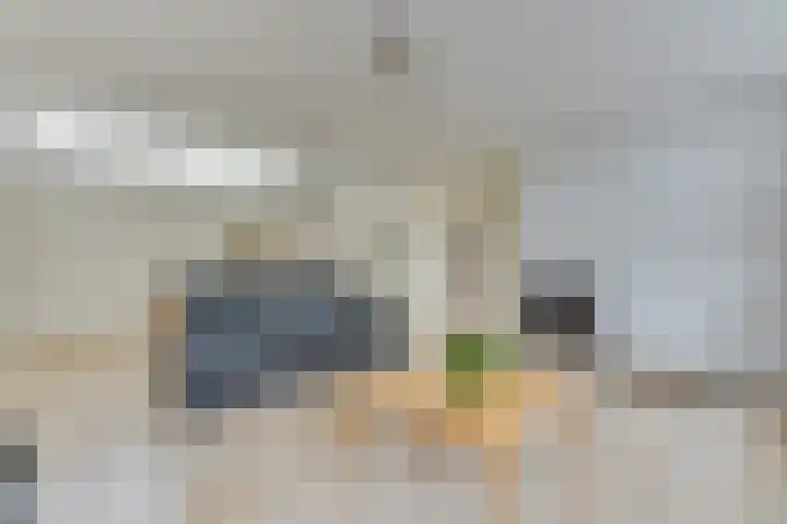 Hobbemaplantsoen 6 Heerhugowaard thumbnail 14
