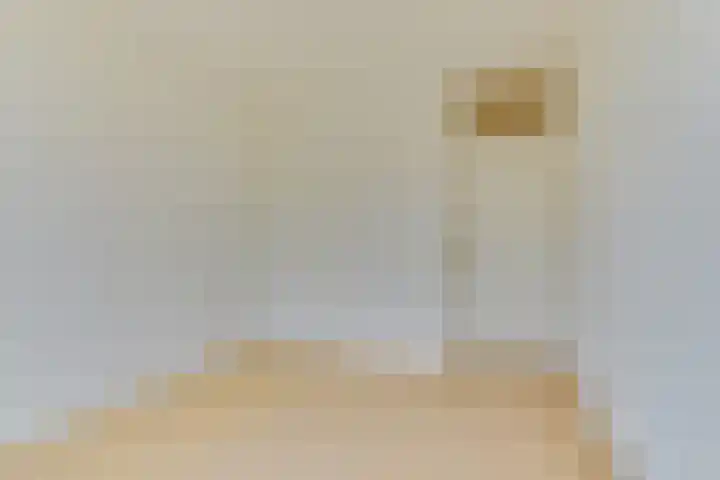 Hobbemaplantsoen 6 Heerhugowaard thumbnail 30