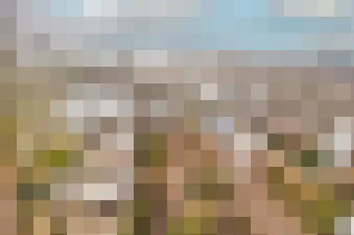 Hobbemaplantsoen 6 Heerhugowaard thumbnail 31