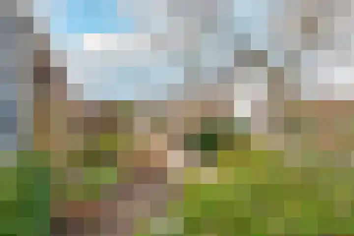 Hobbemaplantsoen 6 Heerhugowaard thumbnail 5