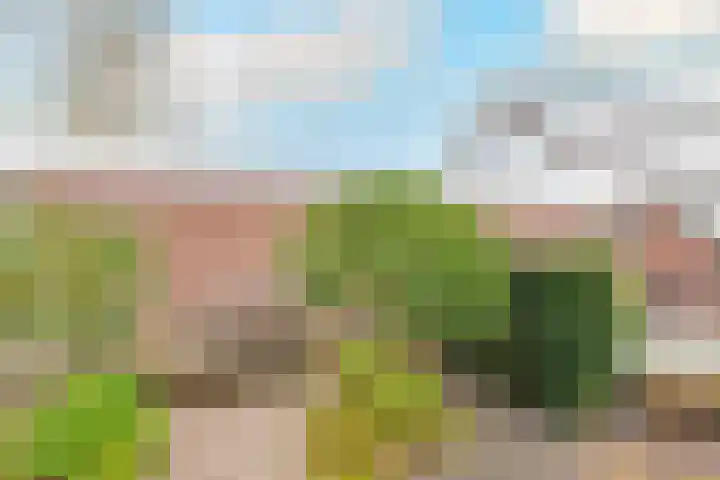 Hobbemaplantsoen 6 Heerhugowaard thumbnail 7