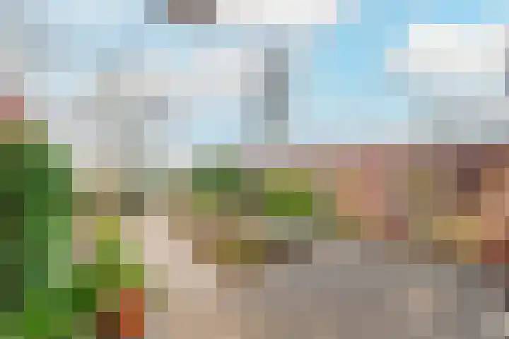 Hobbemaplantsoen 6 Heerhugowaard thumbnail 8