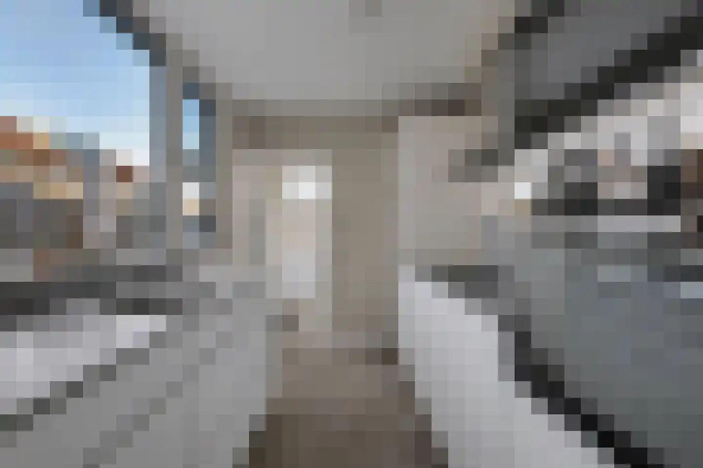 Hobbemaplantsoen 6 Oosterhout thumbnail 11