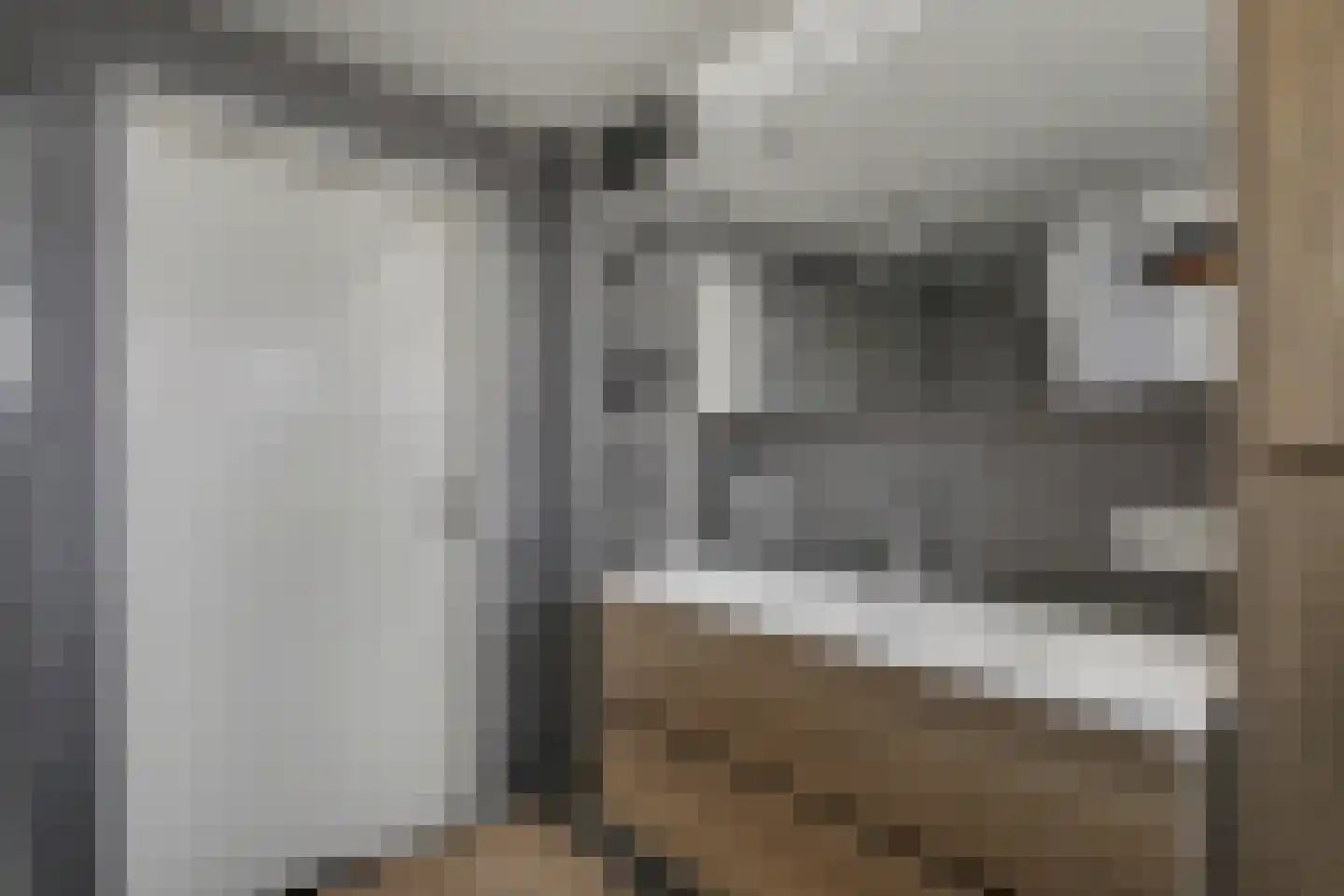 Hobbemaplantsoen 6 Oosterhout thumbnail 18