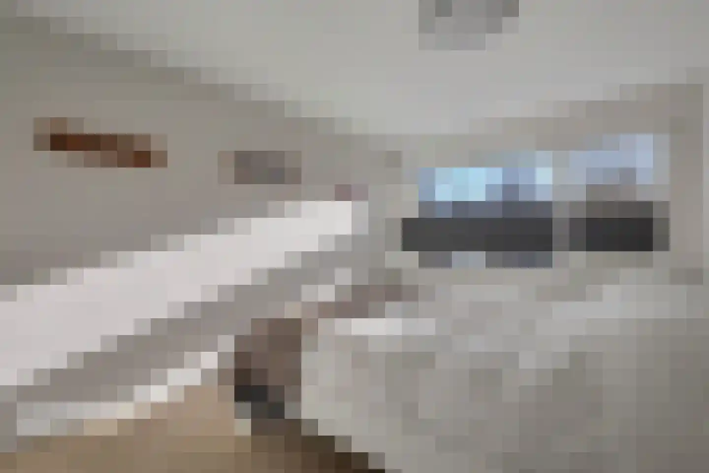 Hobbemaplantsoen 6 Oosterhout thumbnail 21