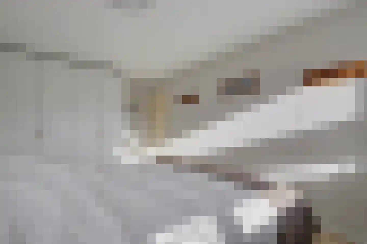 Hobbemaplantsoen 6 Oosterhout thumbnail 22