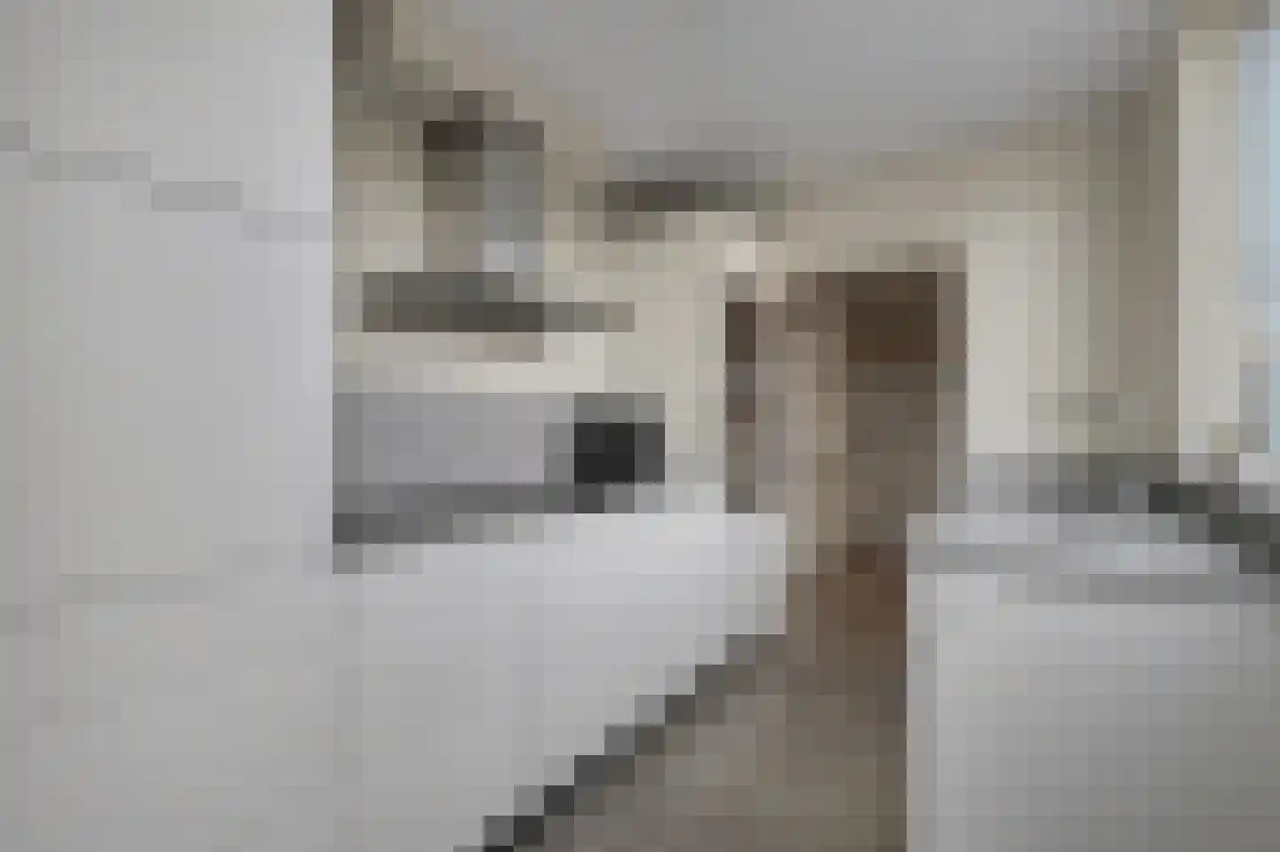 Hobbemaplantsoen 6 Oosterhout thumbnail 4