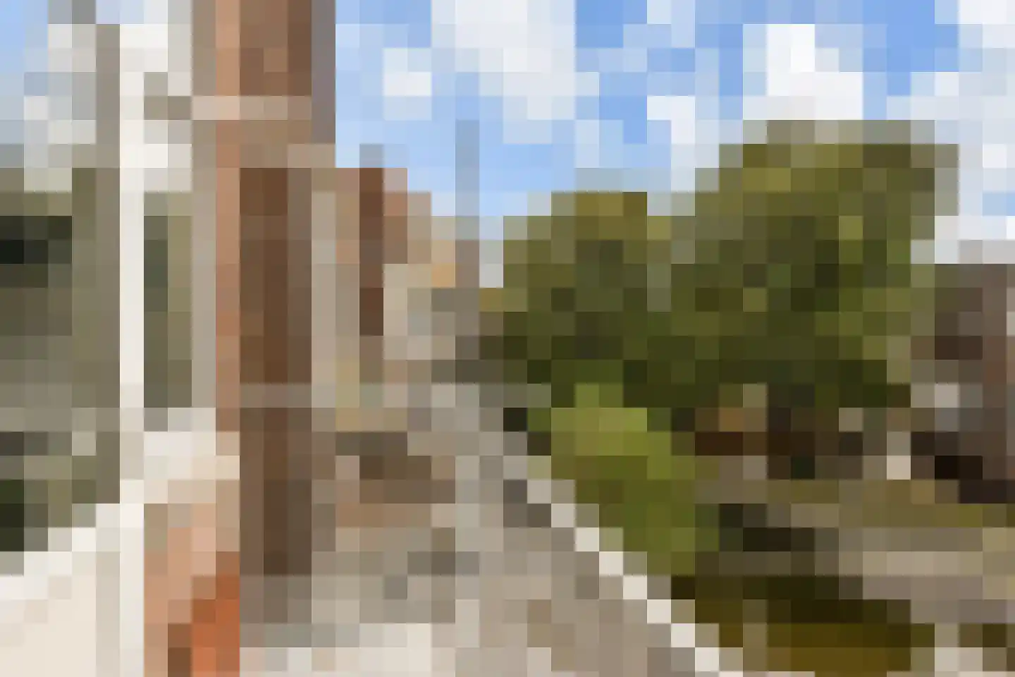 Hobbemaplein 46 Den Haag thumbnail 8
