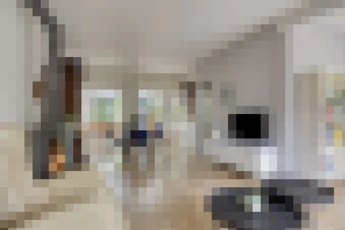 Hobbemaplein 7 Drunen thumbnail 13