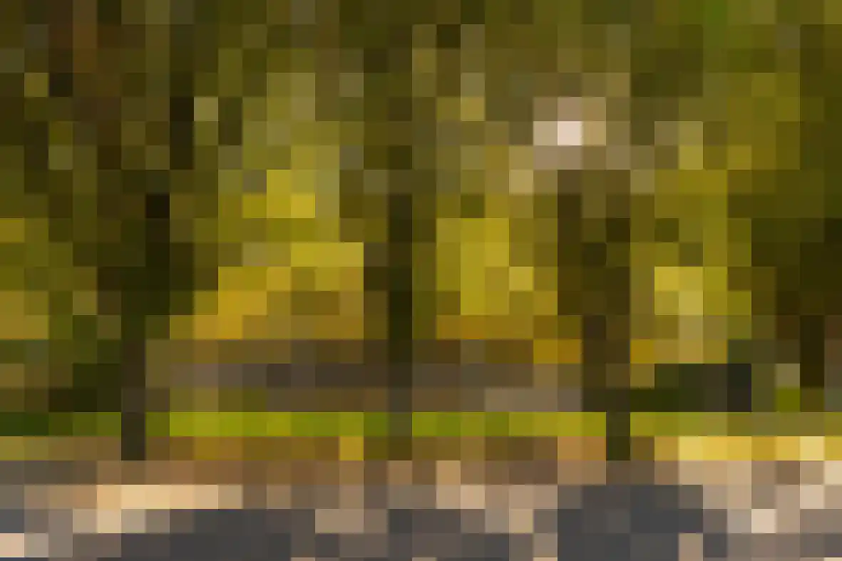 Hobbemastraat 1 Geleen thumbnail 25