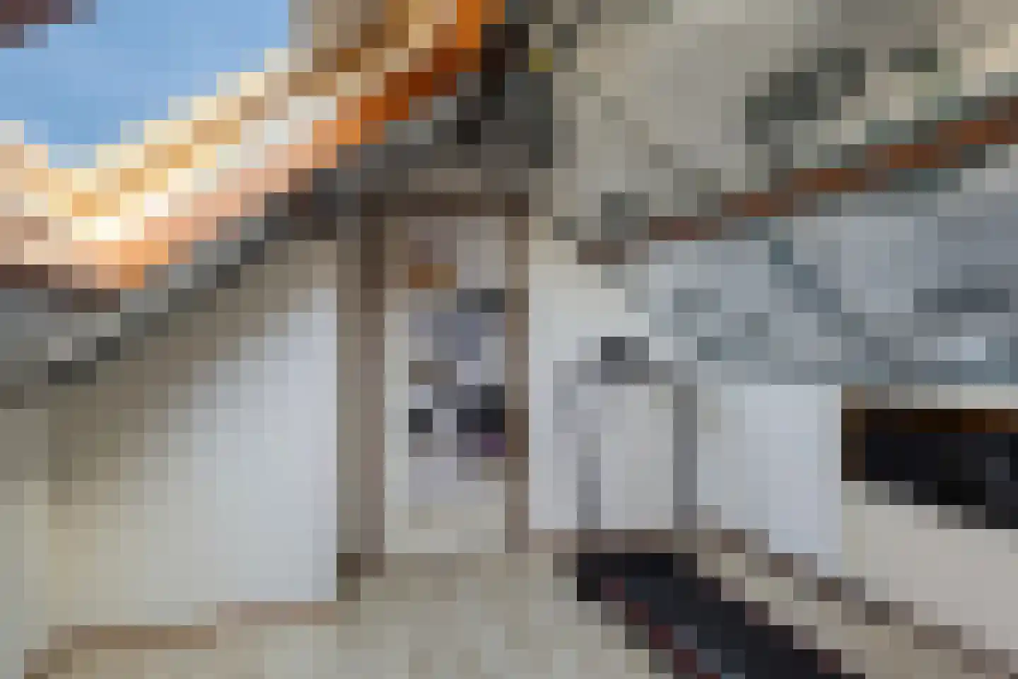 Hobbemastraat 11 Terneuzen thumbnail 26
