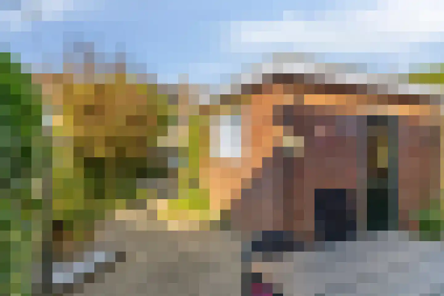 Hobbemastraat 11 Terneuzen thumbnail 28