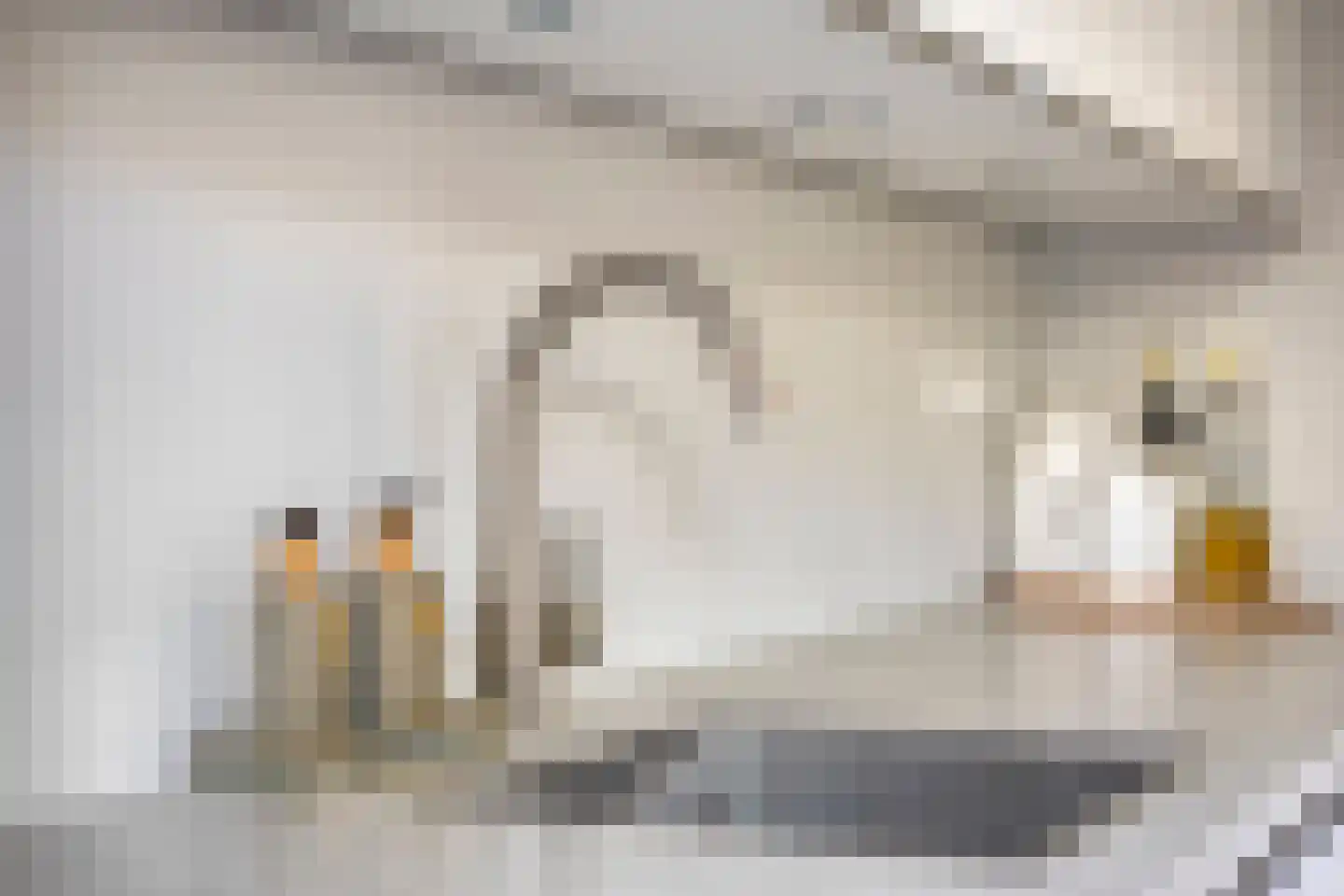 Hobbemastraat 11 Terneuzen thumbnail 9