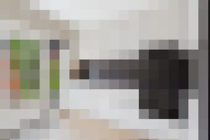 Hobbemastraat 15 Terneuzen thumbnail 11