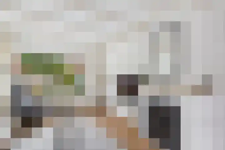 Hobbemastraat 15 Terneuzen thumbnail 15