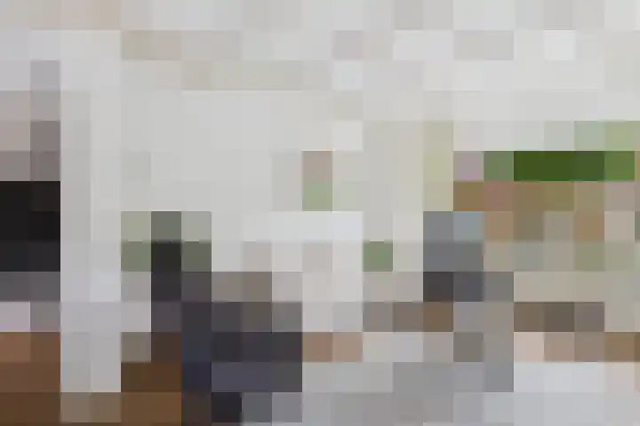 Hobbemastraat 15 Terneuzen thumbnail 17