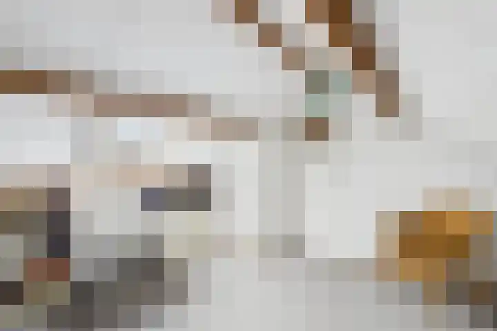 Hobbemastraat 15 Terneuzen thumbnail 33