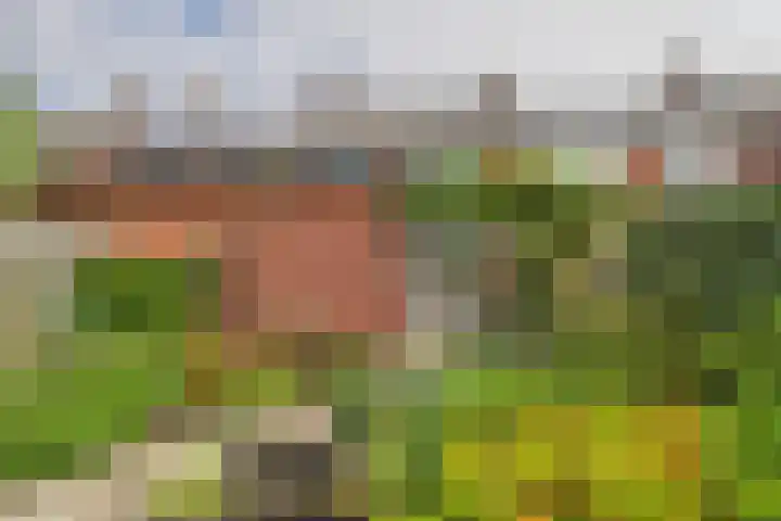 Hobbemastraat 15 Terneuzen thumbnail 35