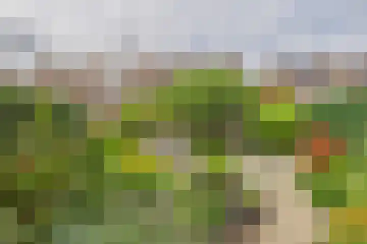 Hobbemastraat 15 Terneuzen thumbnail 39