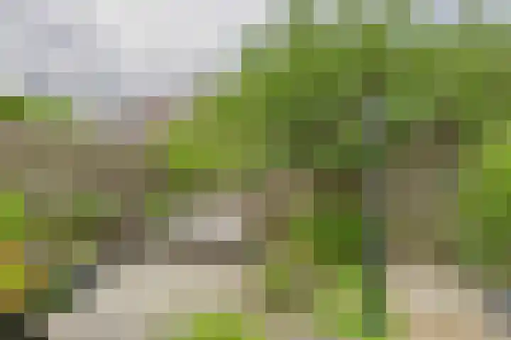 Hobbemastraat 15 Terneuzen thumbnail 40