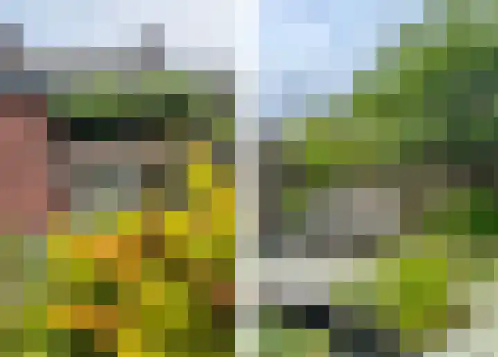 Hobbemastraat 15 Terneuzen thumbnail 41