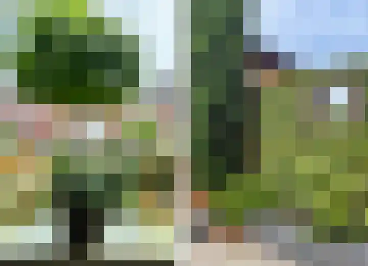 Hobbemastraat 15 Terneuzen thumbnail 42
