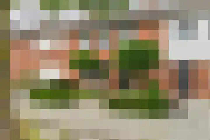 Hobbemastraat 15 Terneuzen thumbnail 43