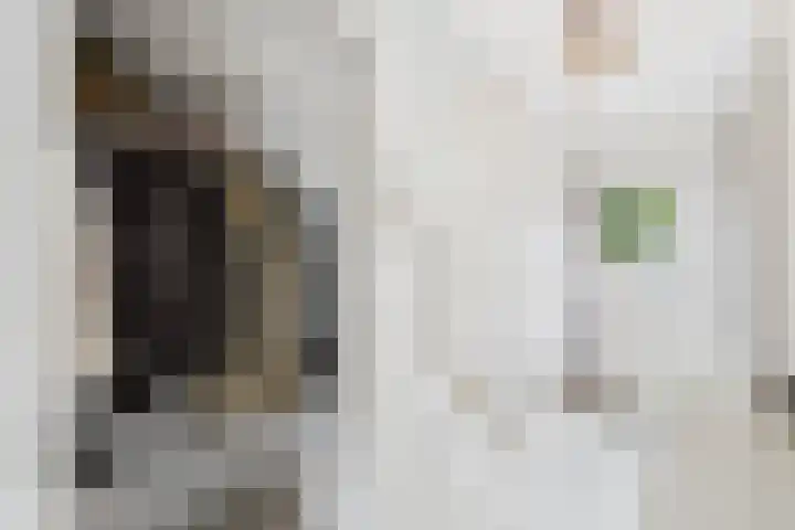 Hobbemastraat 15 Terneuzen thumbnail 7
