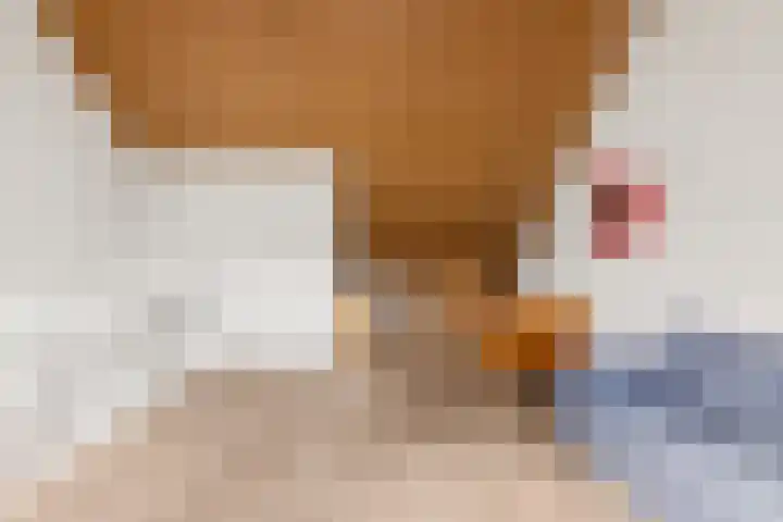Hobbemastraat 17 Zwijndrecht thumbnail 31