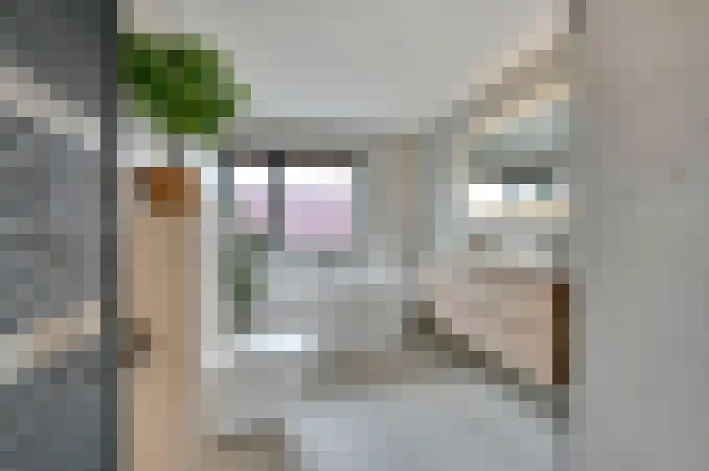 Hobbemastraat 20 E Maassluis thumbnail 31