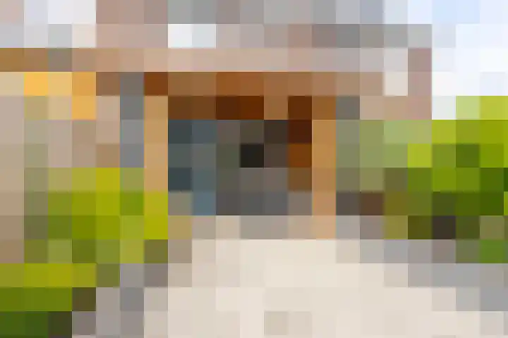 Hobbemastraat 21 Hardinxveld-Giessendam thumbnail 22