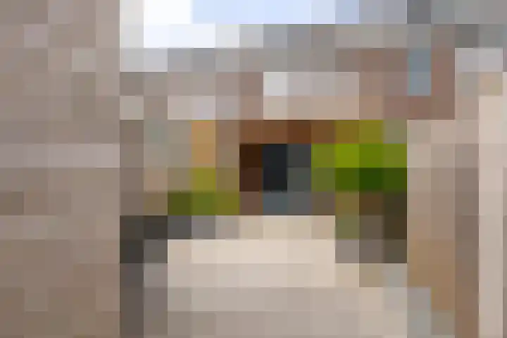 Hobbemastraat 21 Hardinxveld-Giessendam thumbnail 23