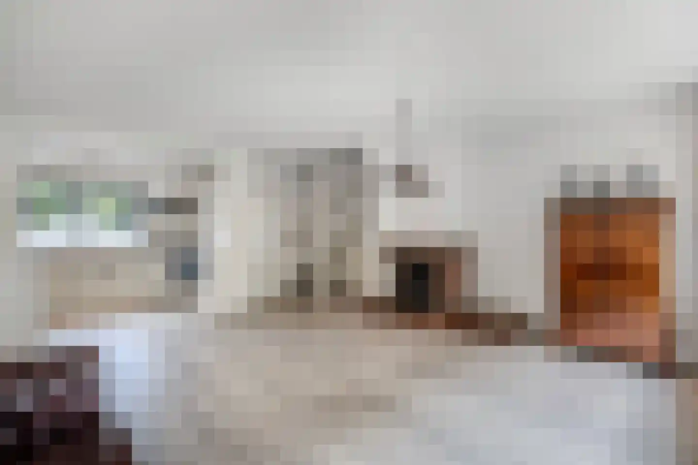 Hobbemastraat 22 Wolvega thumbnail 18