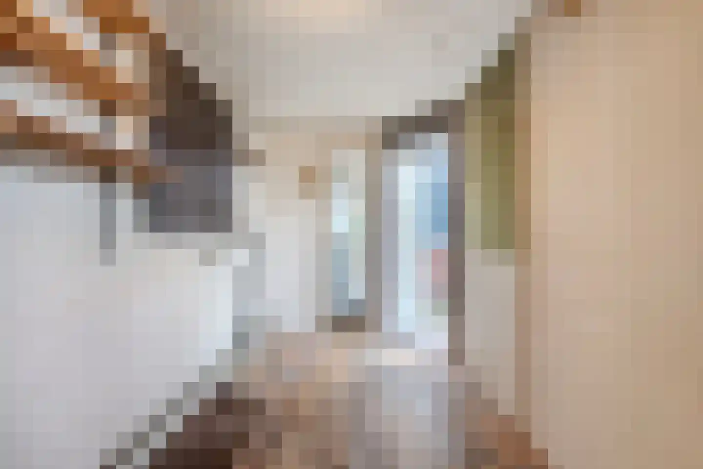 Hobbemastraat 22 Wolvega thumbnail 39